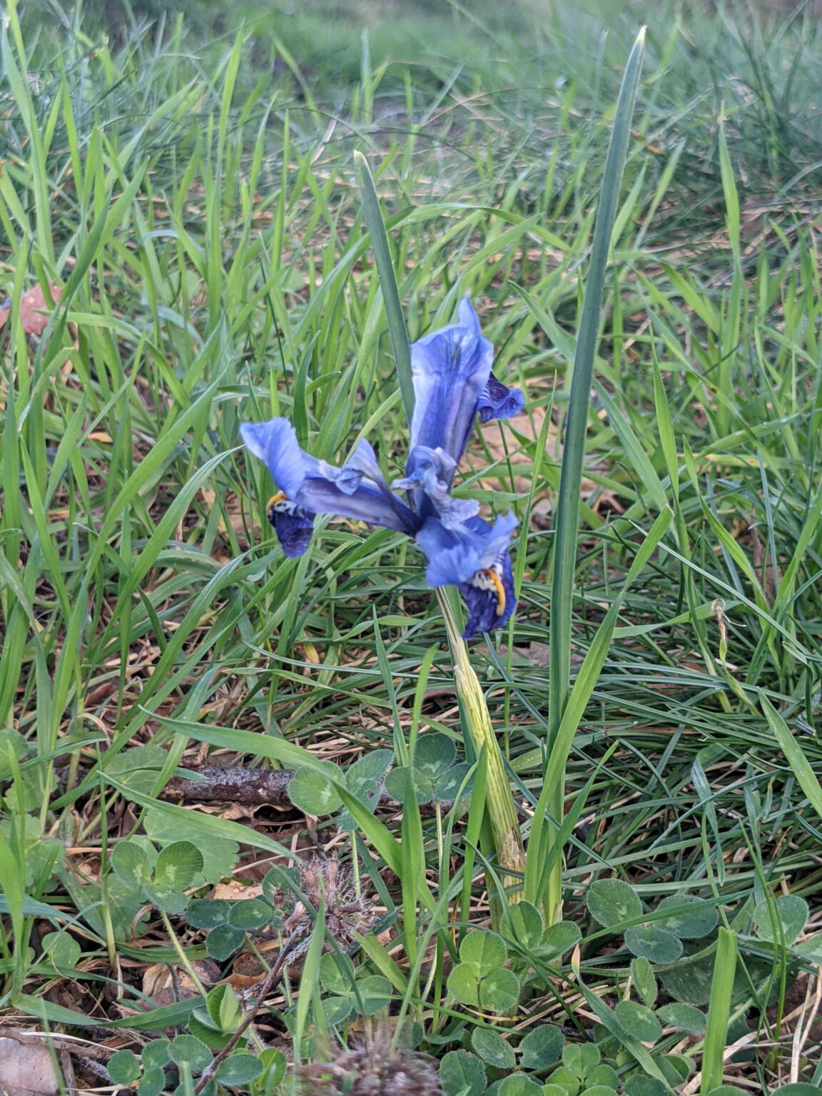 Le voyage chez les plantes - vendredi 15 mai