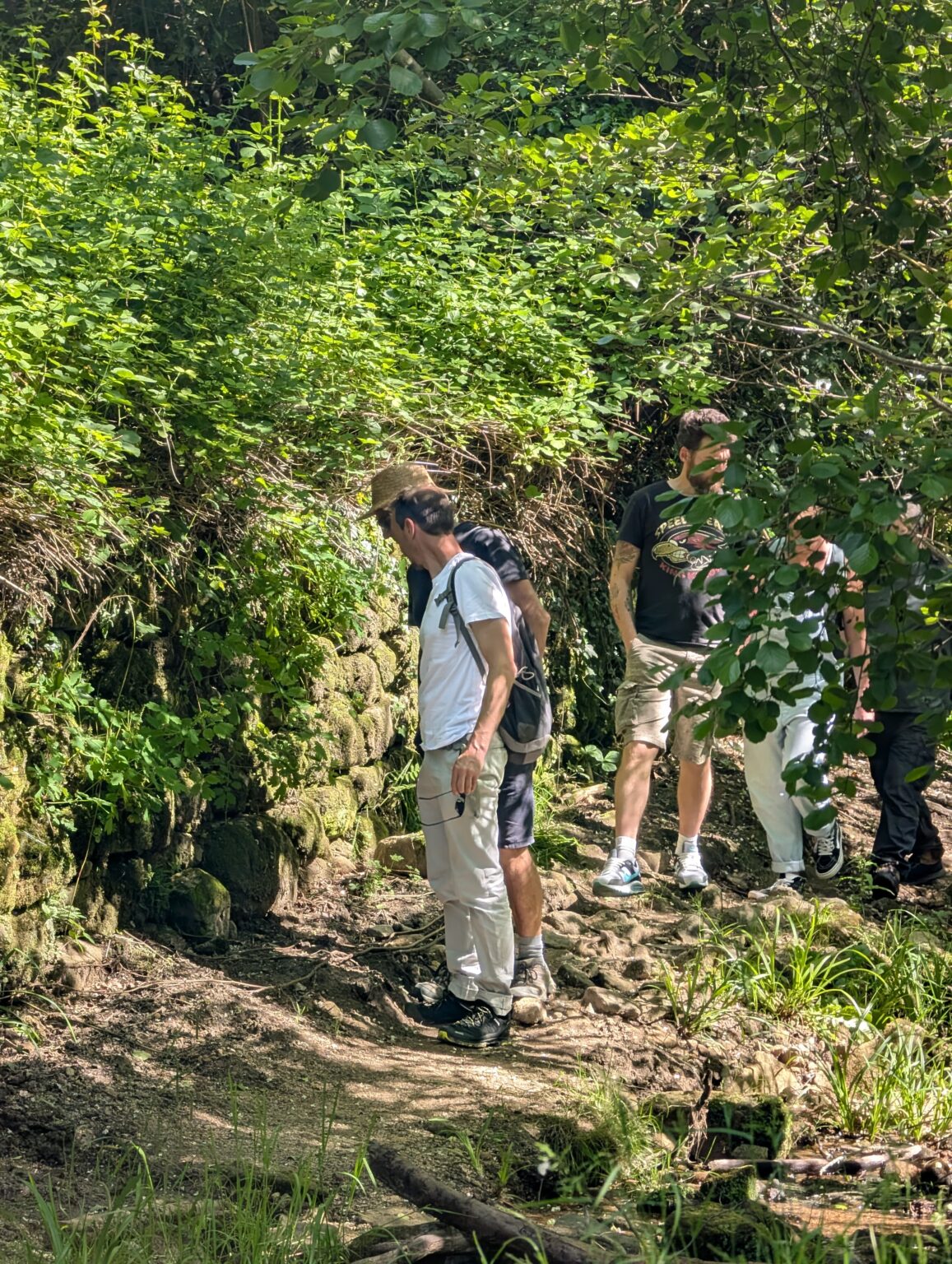 Balade plantes sauvages de la Garrigue à Lablachère